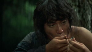 The Shogun Assassins