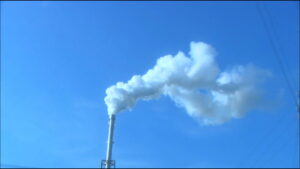 All About Lily Chou-Chou