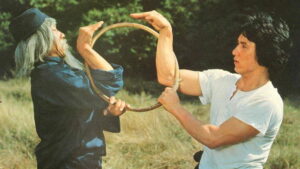 Snake in the Eagle’s Shadow