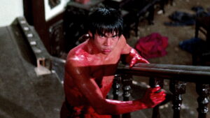 The Boxer from Shantung