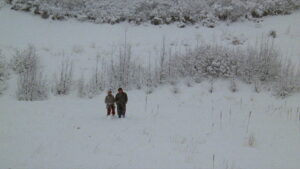 Chilly Scenes of Winter