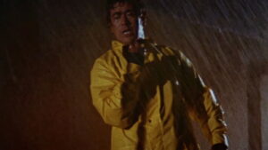 The Street Fighter’s Last Revenge