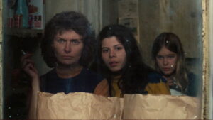 The Effect of Gamma Rays on Man-in-the-Moon Marigolds