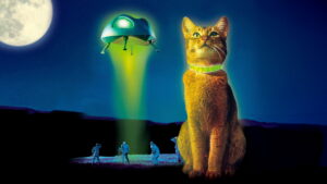 The Cat from Outer Space