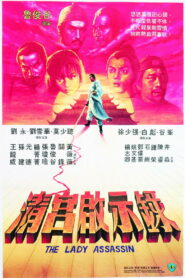 The Lady Assassin