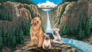 Homeward Bound: The Incredible Journey