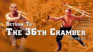 Return to the 36th Chamber