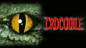 Crocodile
