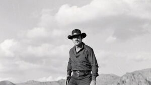 Have Gun, Will Travel