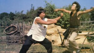 The Incredible Kung Fu Master