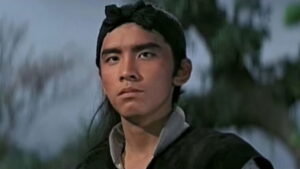 Have Sword, Will Travel