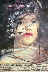 Chronicle of Amorous Accidents