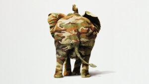 Operation Dumbo Drop