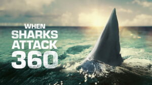 When Sharks Attack 360
