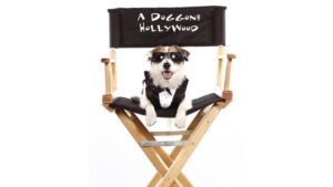A Doggone Hollywood