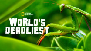 World’s Deadliest