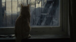 Inside Llewyn Davis