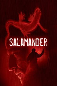 Salamander