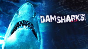 Dam Sharks!