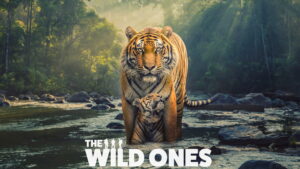 The Wild Ones (2025)