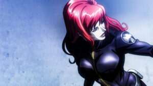 Avengers Confidential: Black Widow & Punisher