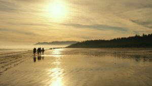 War for the Planet of the Apes