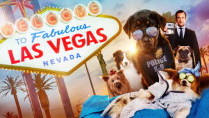 Show Dogs