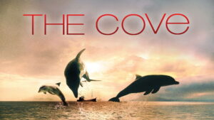 The Cove