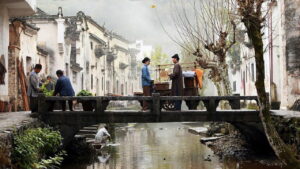 The Chinese Widow