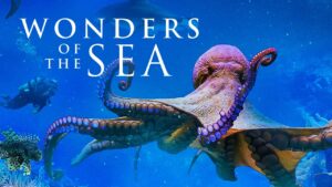 Wonders of the Sea