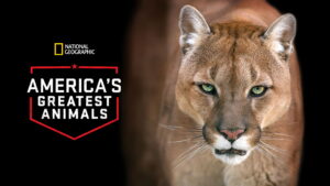 America’s Greatest Animals