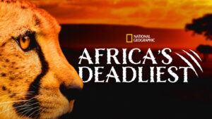 Africa’s Deadliest