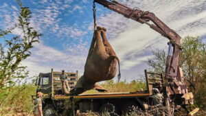 Extreme Animal Transport