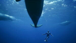 Mediterranean: Life Under Siege