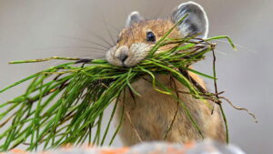 Earth’s Seasonal Secrets