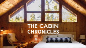 The Cabin Chronicles
