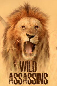 Wild Assassins