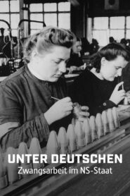 Working for the Enemy: Forced Labour in the Third Reich