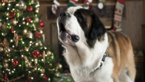 Beethoven’s Christmas Adventure