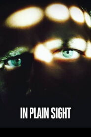 In Plain Sight (2018)