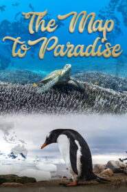 The Map to Paradise