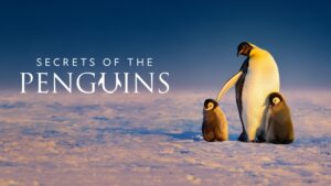 Secrets of the Penguins