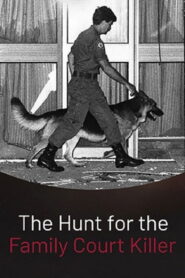 The Hunt for the Family Court Killer