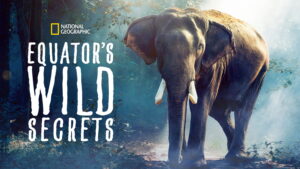 Equator’s Wild Secrets
