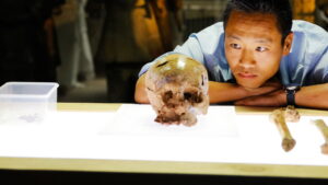 China’s Megatomb Revealed