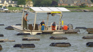 Maryland Farm & Harvest