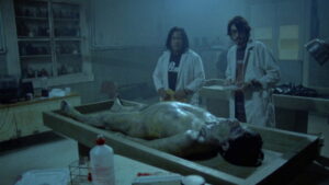 The Light on the Hill