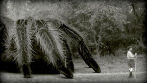 The Giant Spider