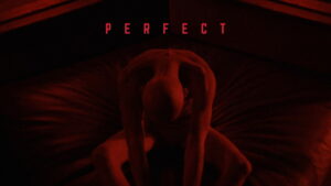 Perfect