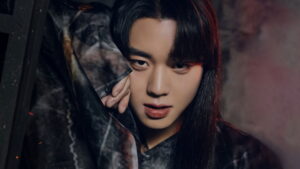 Love Song for Illusion